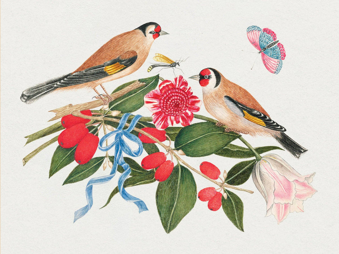 Flowers, Birds & Butterflies Celebrations Boxed Notecards