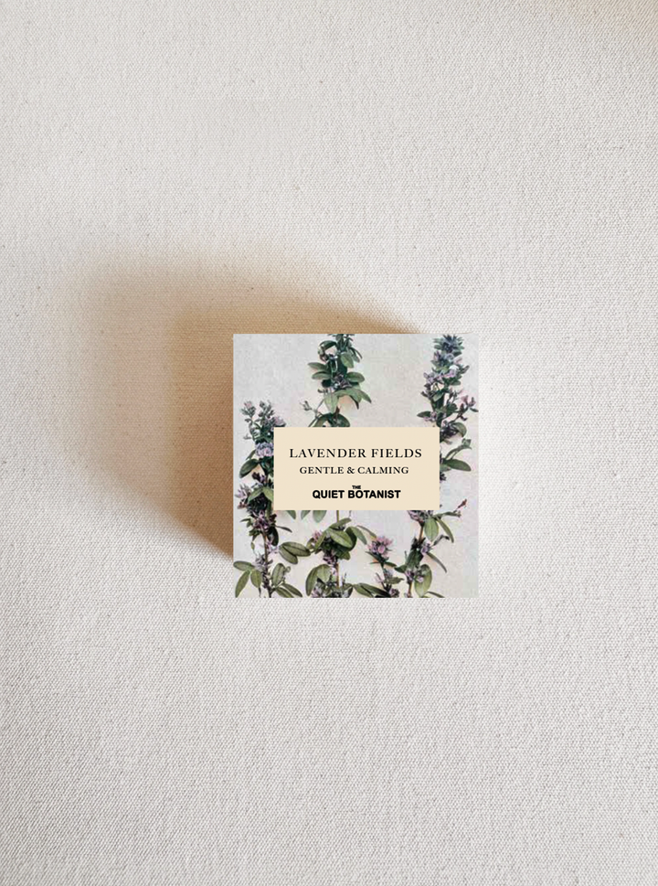 Lavender Fields - Bar Soap