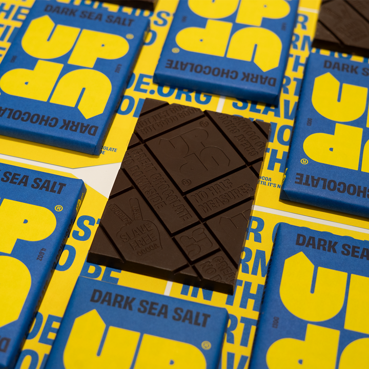 UP & UP Sea Salt Dark Chocolate Bar