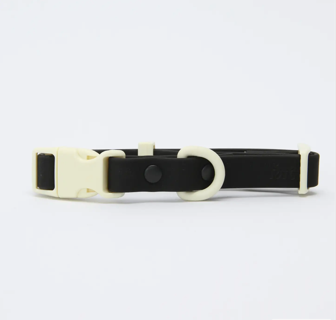 The Fritz Collar : Orange Mango