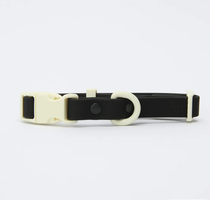 The Fritz Collar : Orange Mango