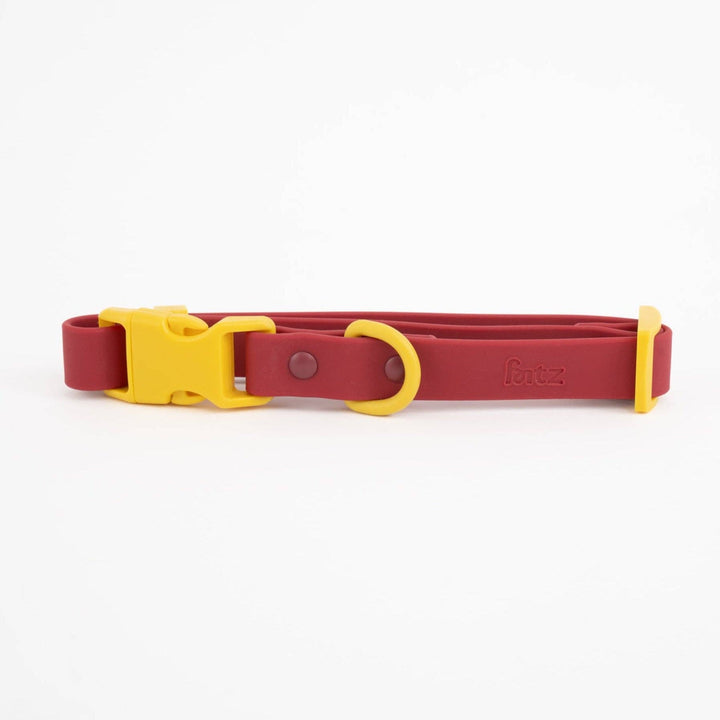 The Fritz Collar : Orange Mango
