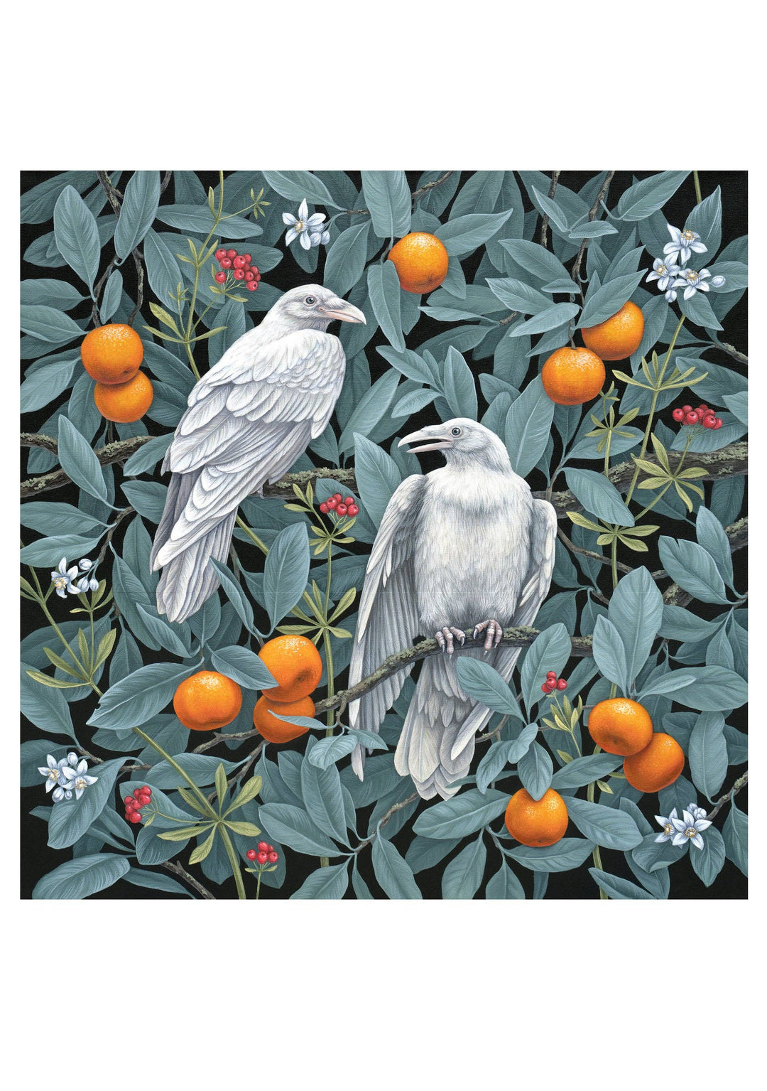 Vasilisa Romanenko: Birds of a Feather Boxed Notecard Assortment