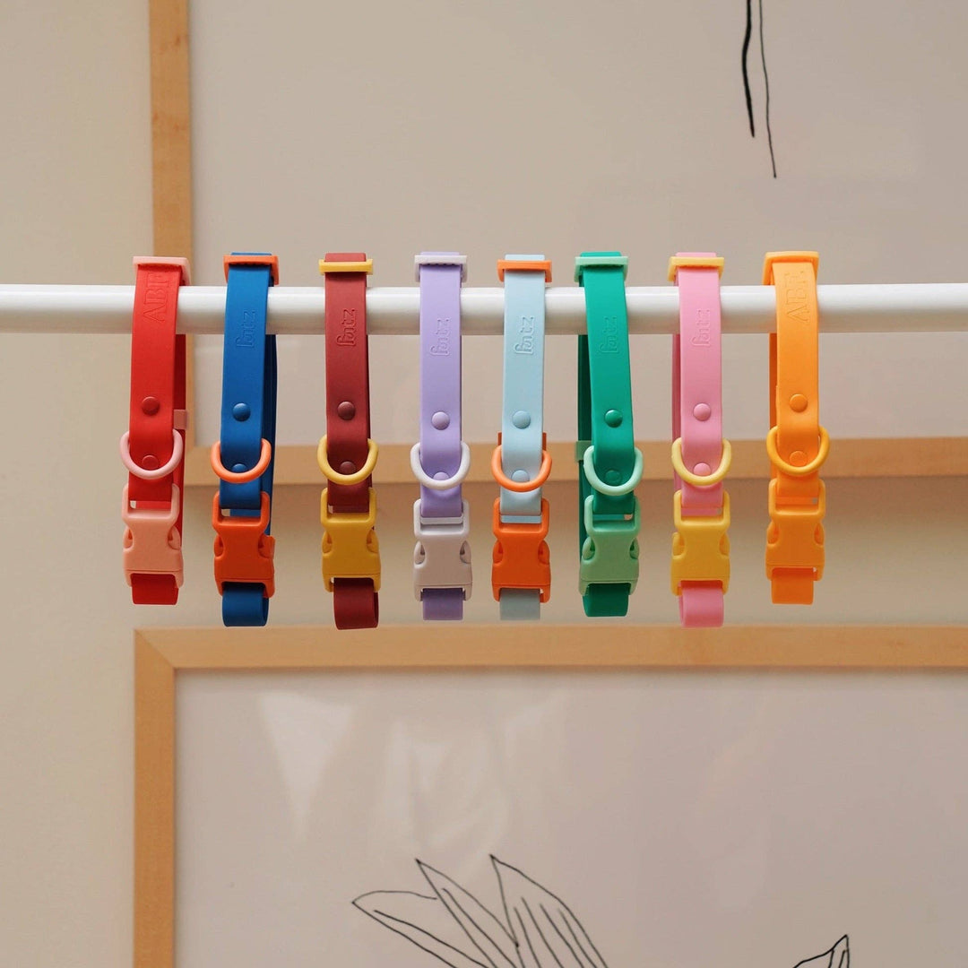The Fritz Collar : Orange Mango