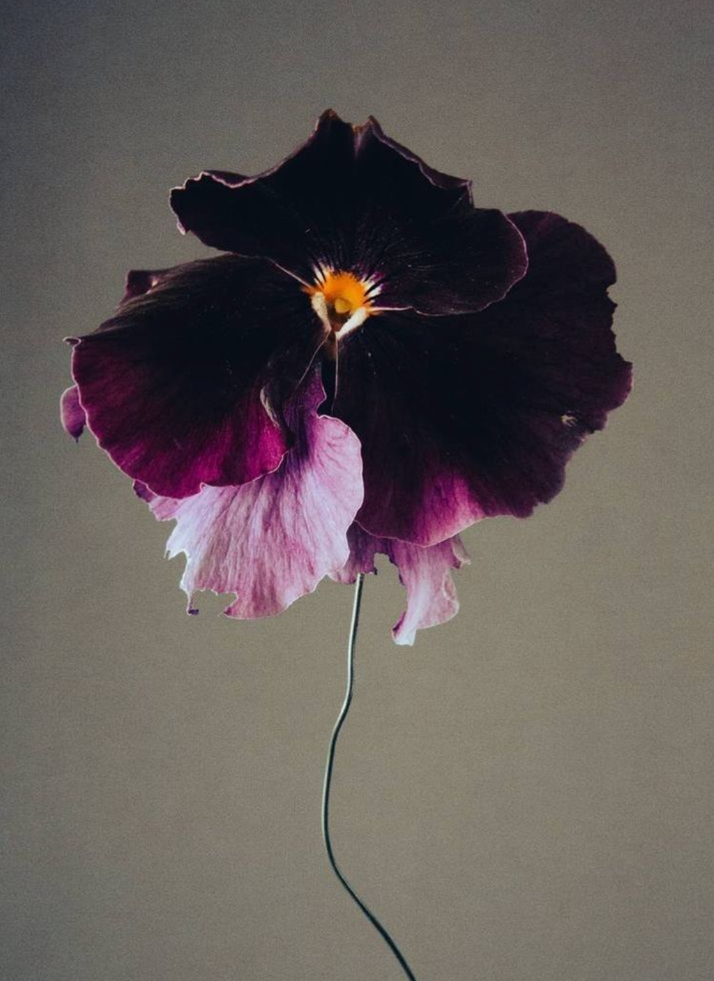 Moody Blooms - Mini Candle