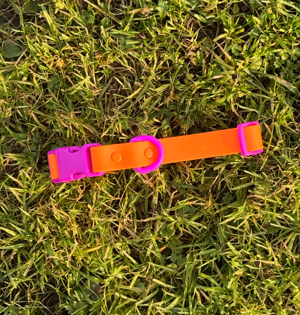 The Fritz Collar : Sunset Violet