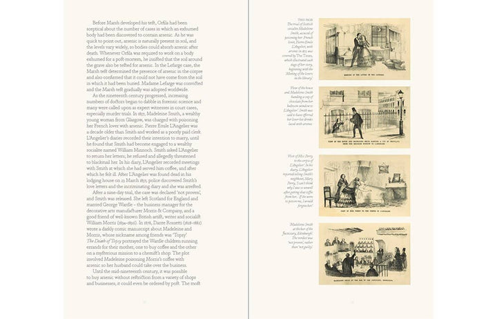 Bitten By Witch Fever: Wallpaper &amp; Arsenic in the Nineteenth
