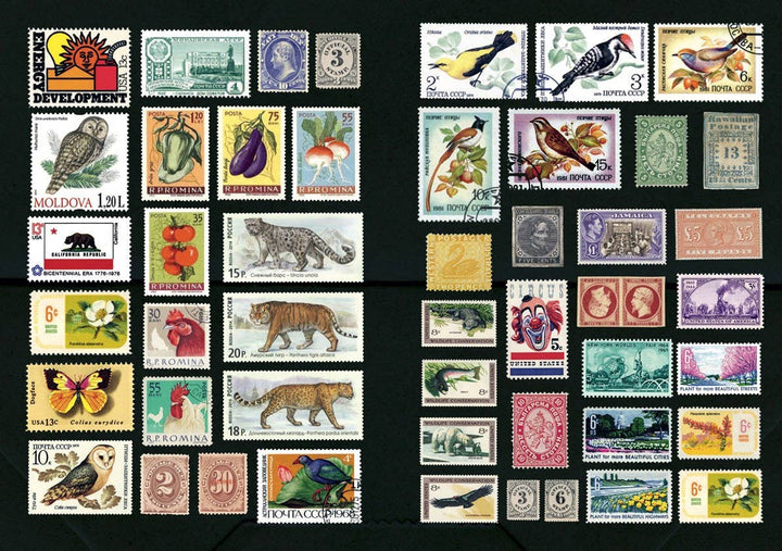 The Curious Collectibles Sticker Book