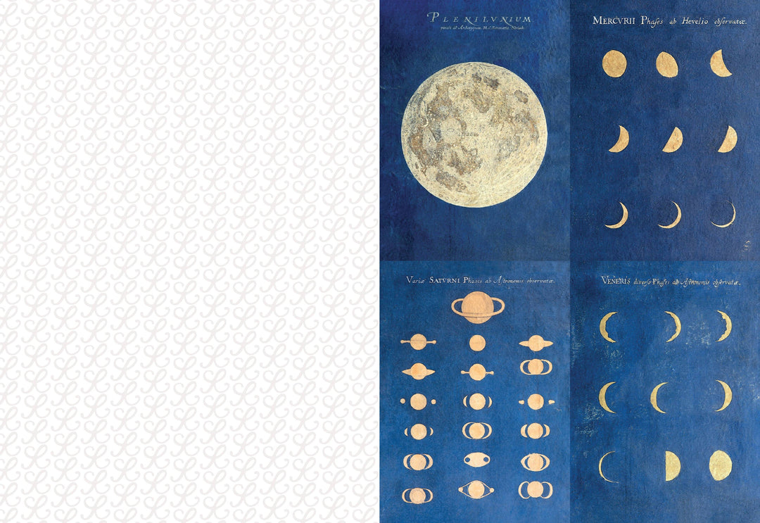 Collage Compendium