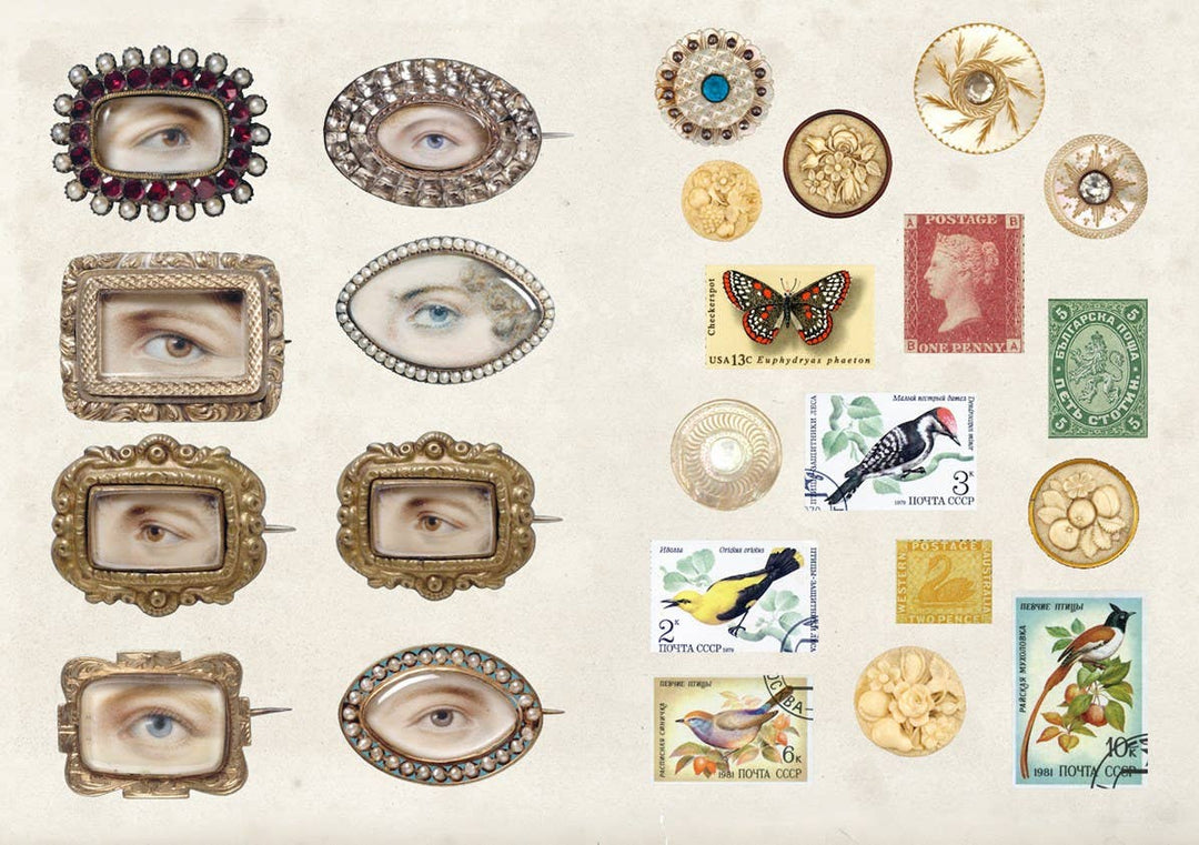 The Curious Collectibles Sticker Book