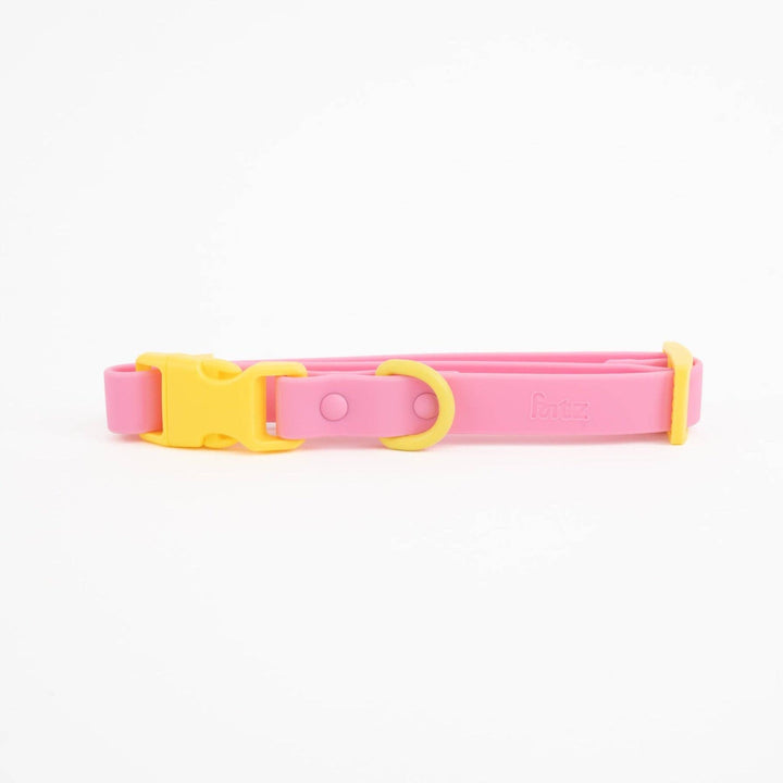 The Fritz Collar : Orange Mango