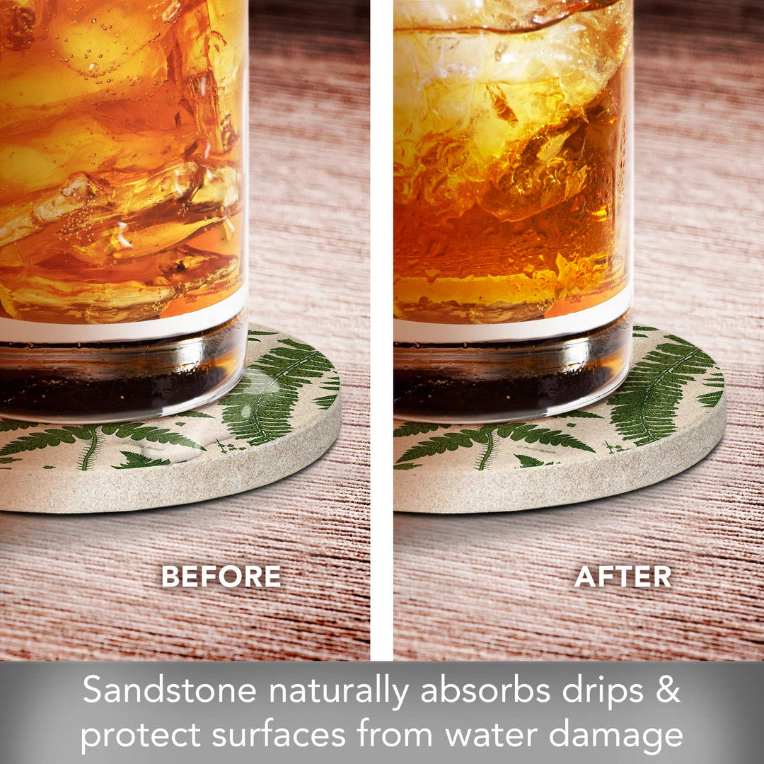"Ferns" 4pk Round Natural Sandstone Coaster