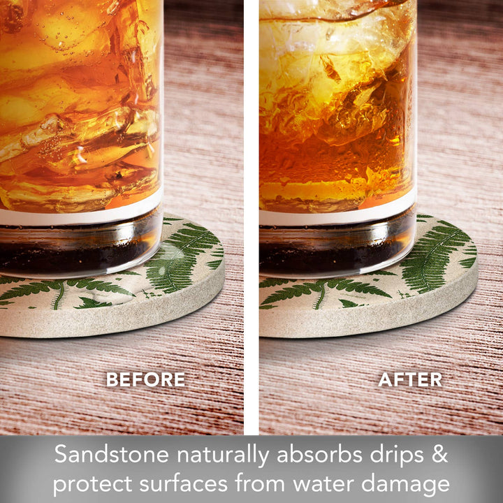 "Ferns" 4pk Round Natural Sandstone Coaster