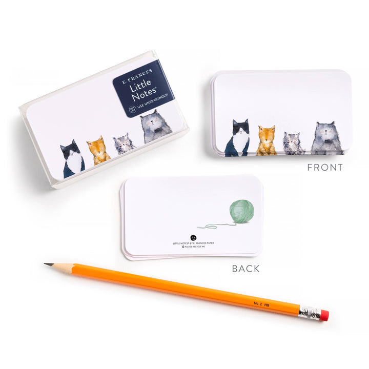 Cat's Meow Little Notes® NEW 55 Count