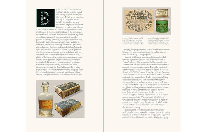 Bitten By Witch Fever: Wallpaper &amp; Arsenic in the Nineteenth