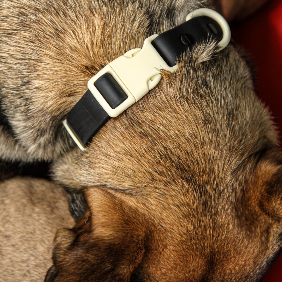 The Fritz Collar : Black Tie White Sand