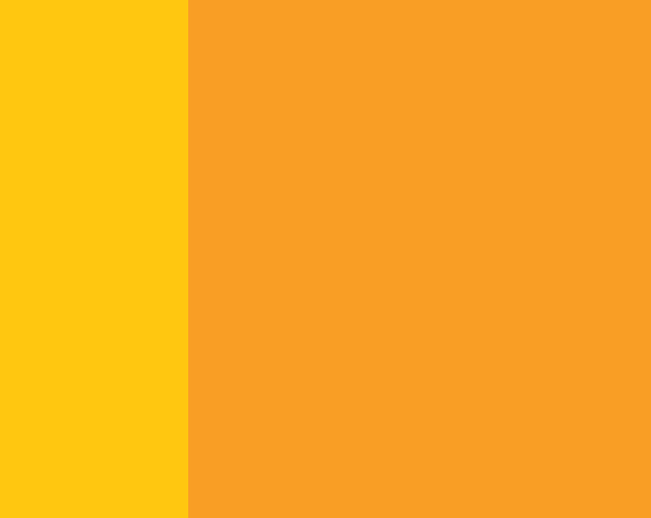 The Fritz Collar : Orange Mango