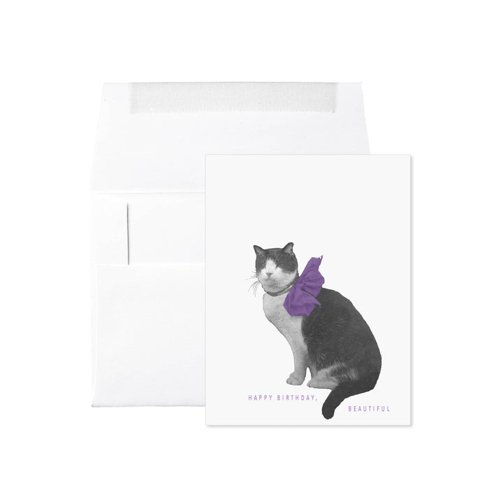 Cat with Bow Happy Birthday, Beautiful Card