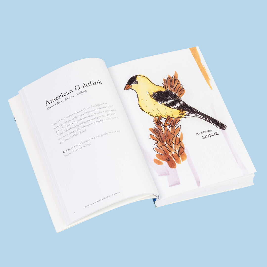 The Field Guide to Dumb Birds of North America