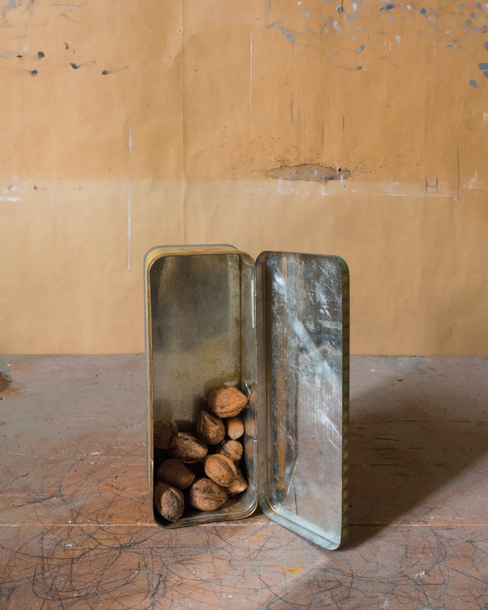 Joel Meyerowitz: Morandi&