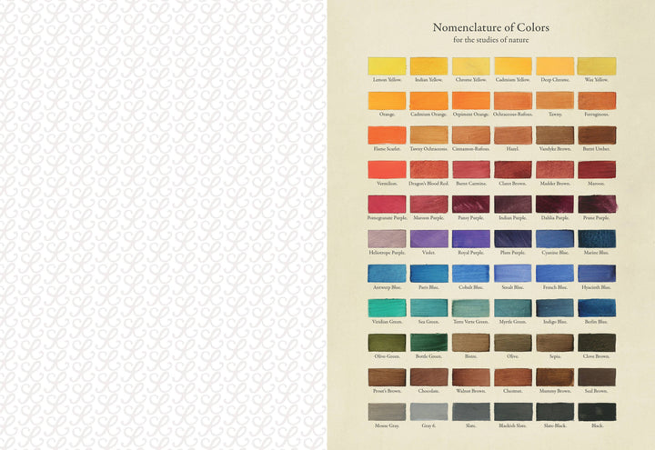 Collage Compendium