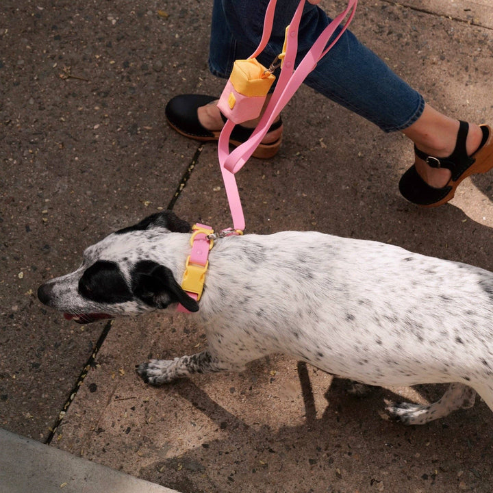 The Fritz Dog Leash | Leash wit Handle | Multi Dog Leash: Orange mango / Small