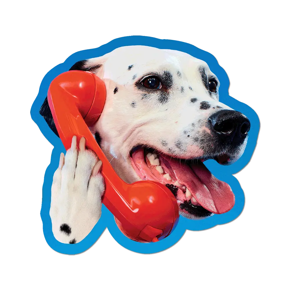 Dalmatian Phone Call by Toiletpaper - Die-Cut Sticker