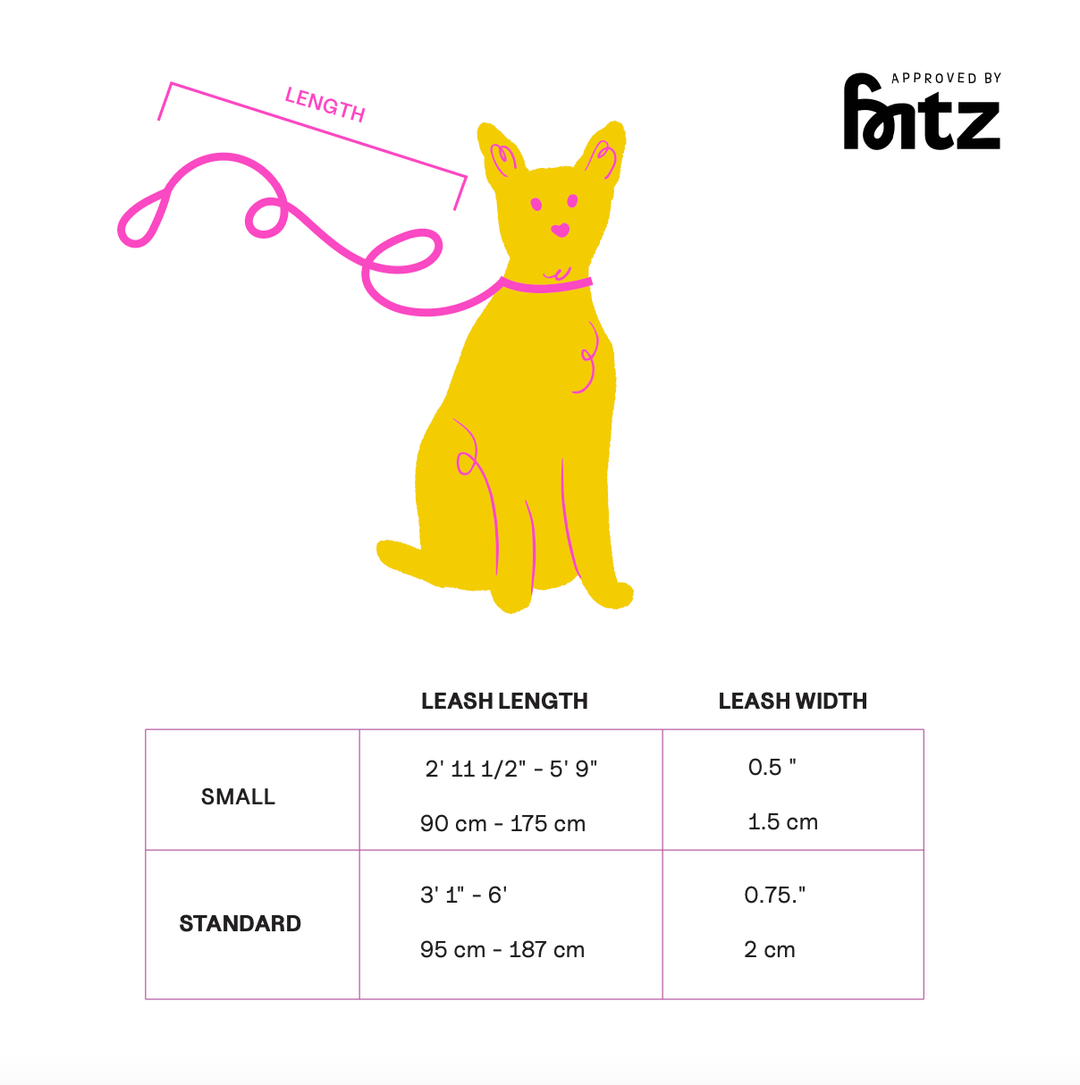 The Fritz Dog Leash | Leash wit Handle | Multi Dog Leash: Orange mango / Small