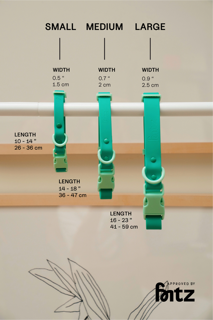The Fritz Collar: Baby Blue Orange