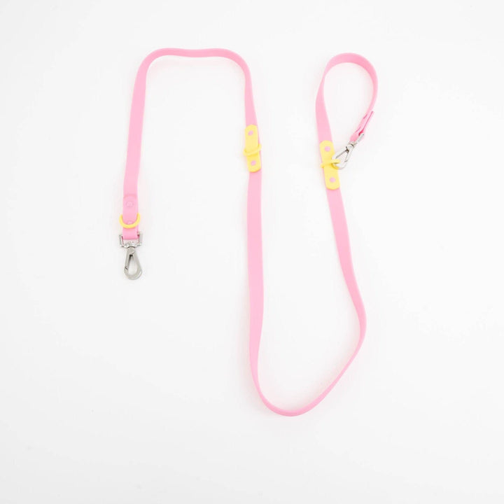 The Fritz Dog Leash | Leash wit Handle | Multi Dog Leash: Orange mango / Small