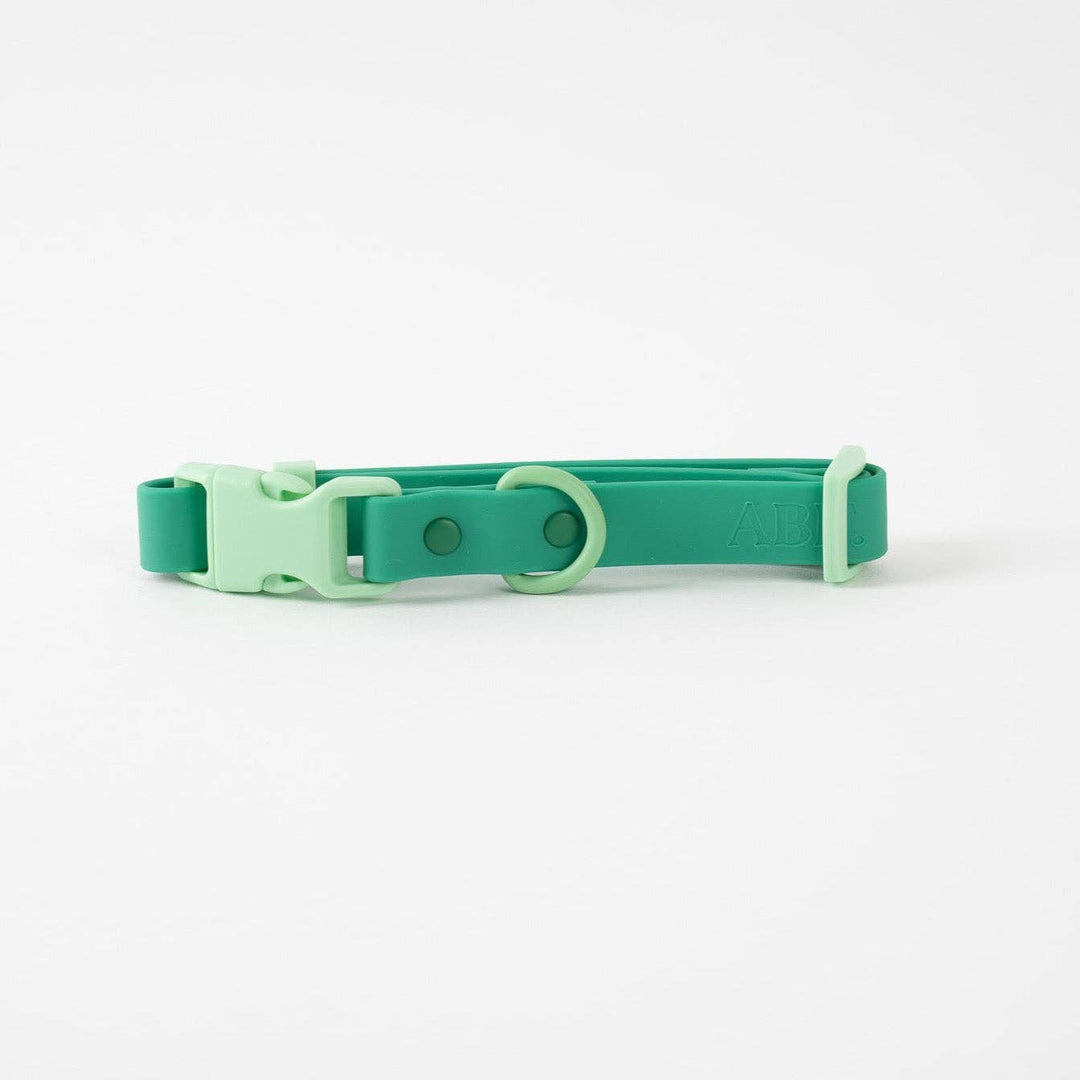 The Fritz Collar : Orange Mango