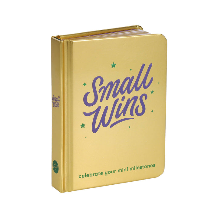Small Wins