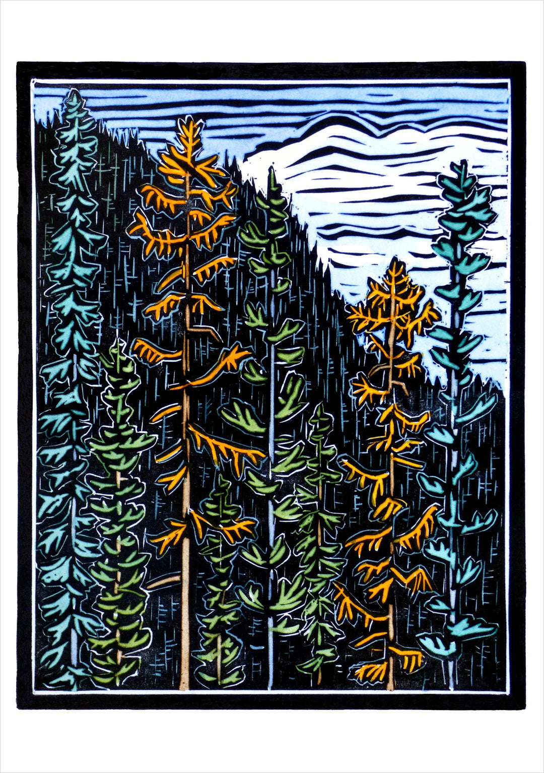 Molly Hashimoto: Trees Boxed Notecard Assortment