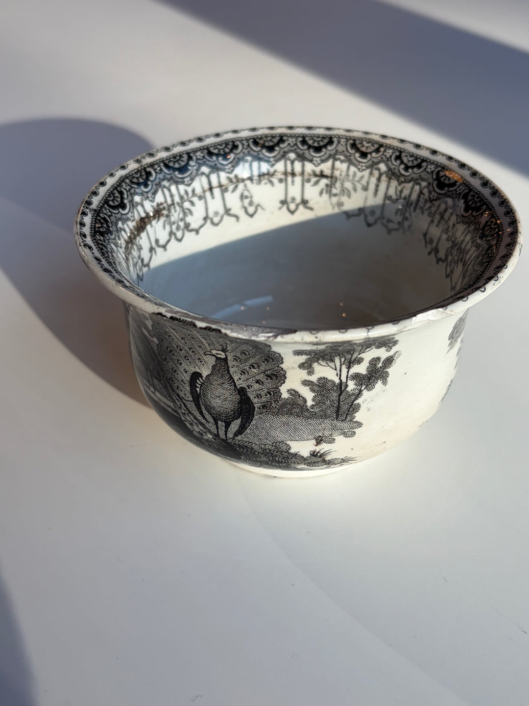 Vintage Porcelain Peacock Printed Bowl