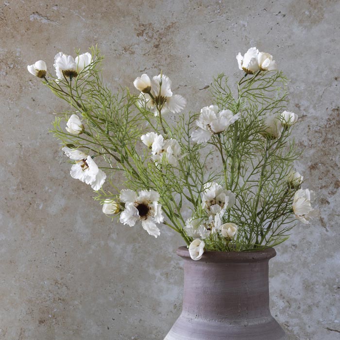 Cosmos Cream Flowers