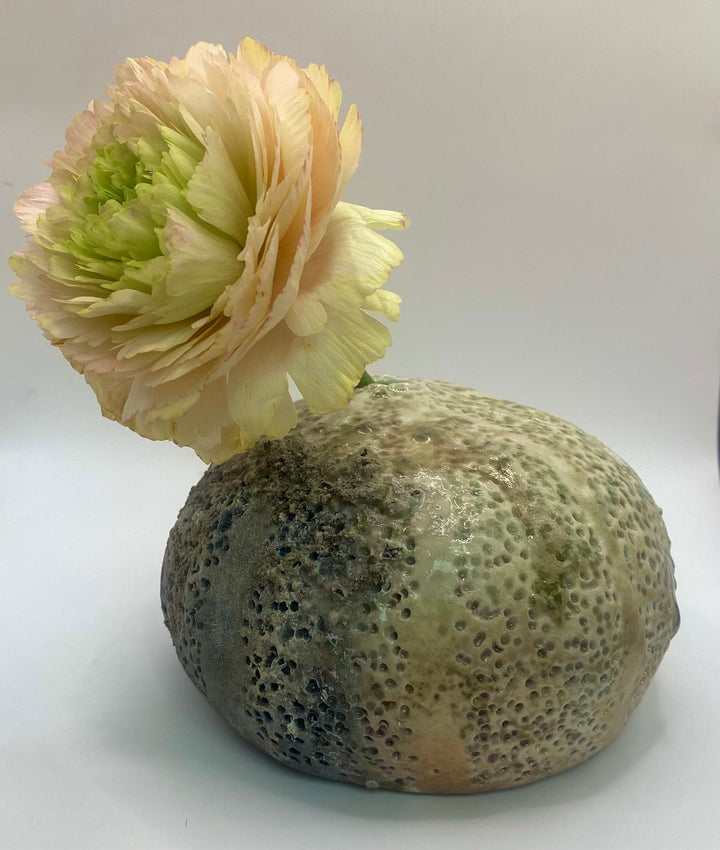 Coral Ball