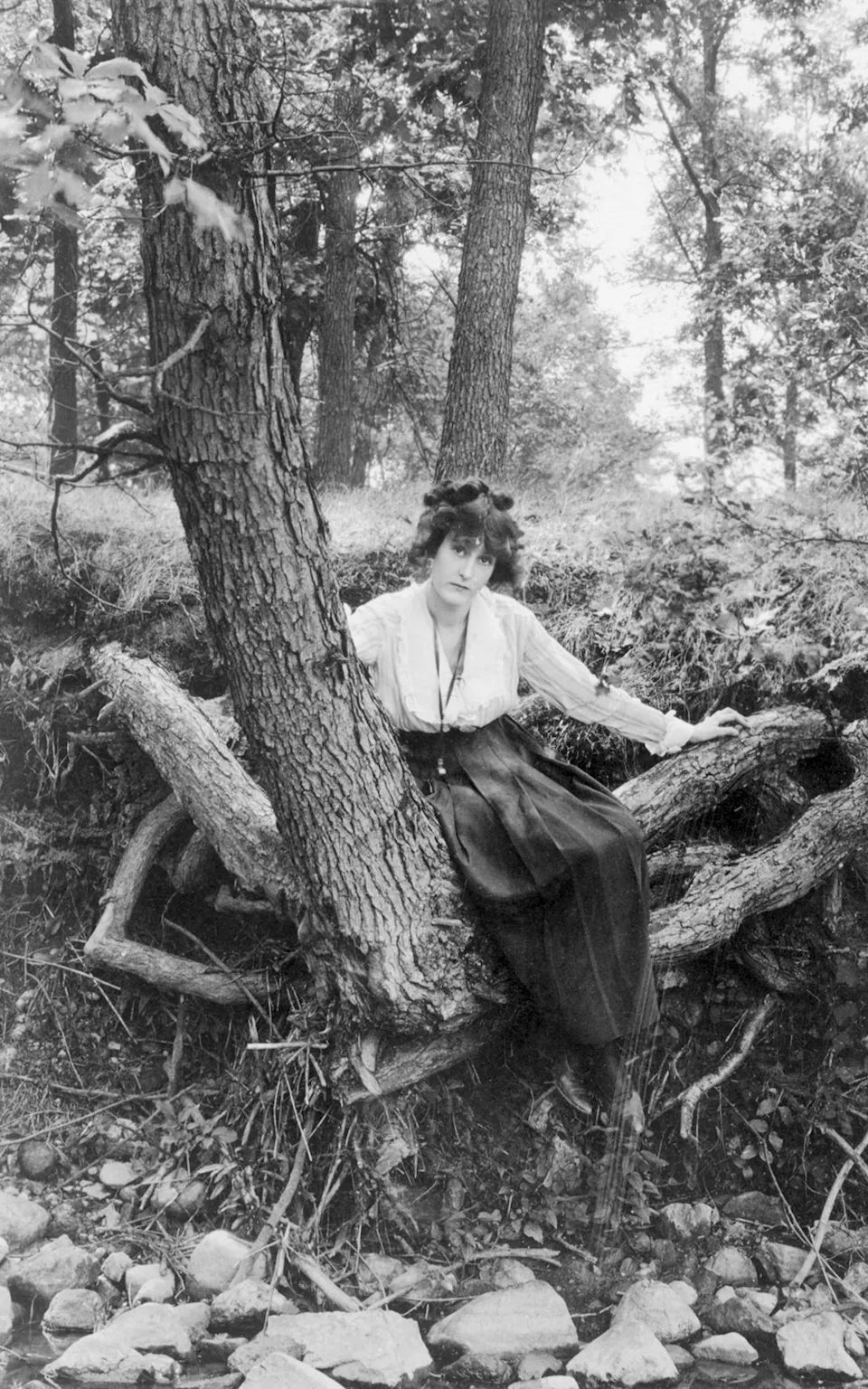 Women in Trees