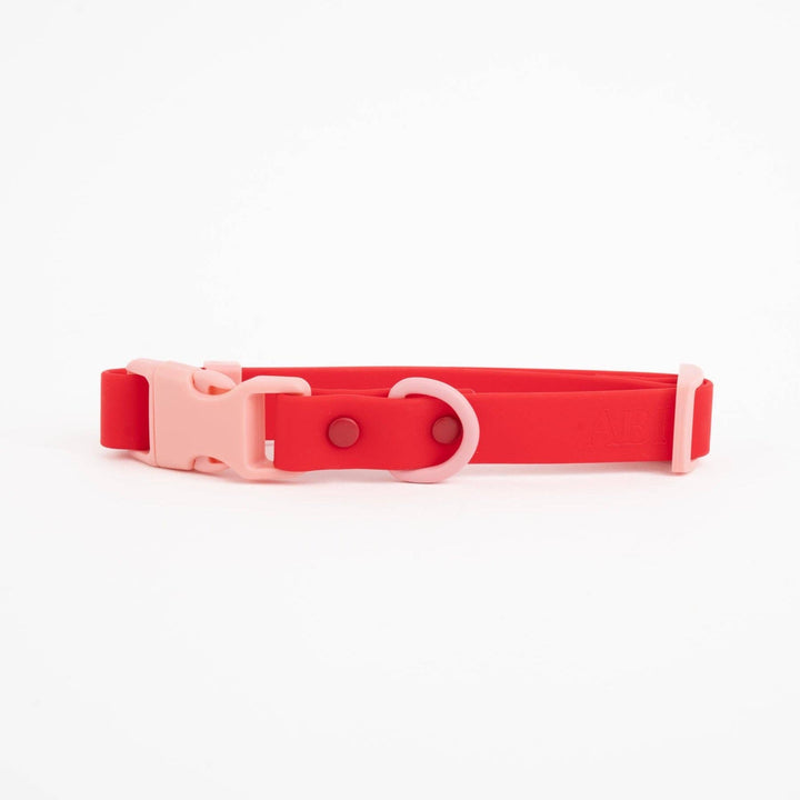 The Fritz Collar : Orange Mango