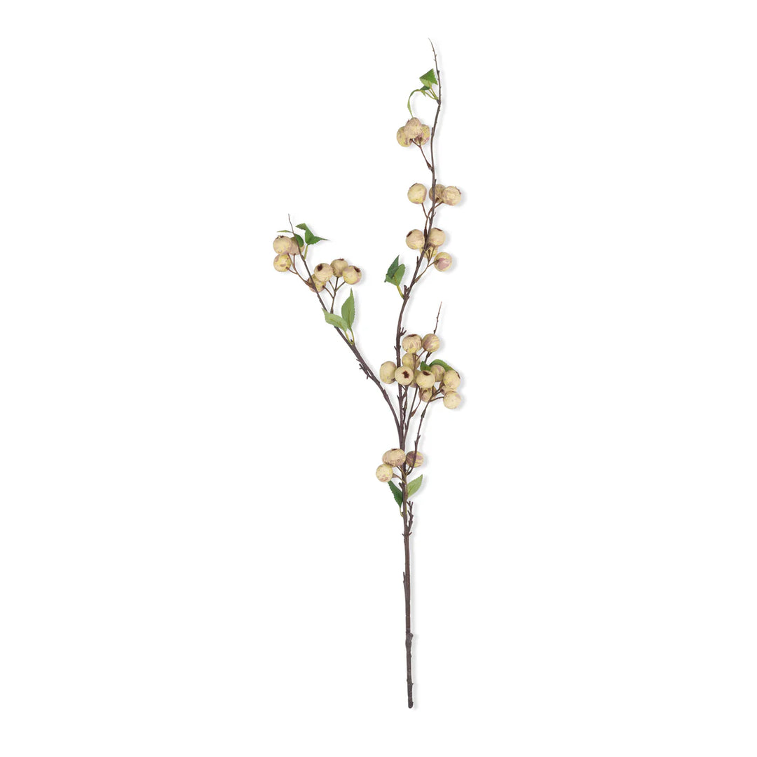 Hawthorn Florals