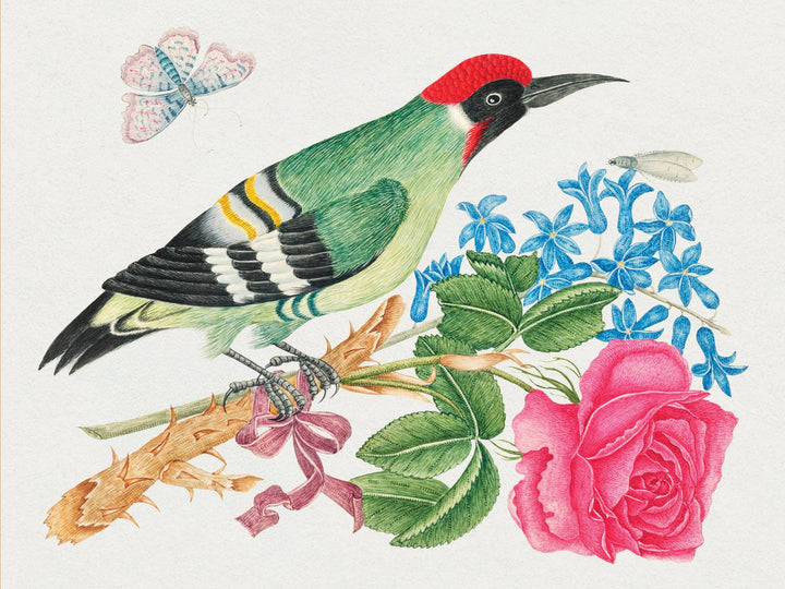 Flowers, Birds & Butterflies Celebrations Boxed Notecards