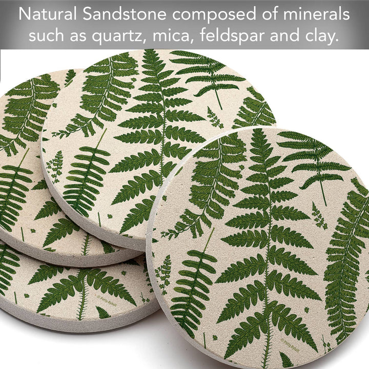 "Ferns" 4pk Round Natural Sandstone Coaster