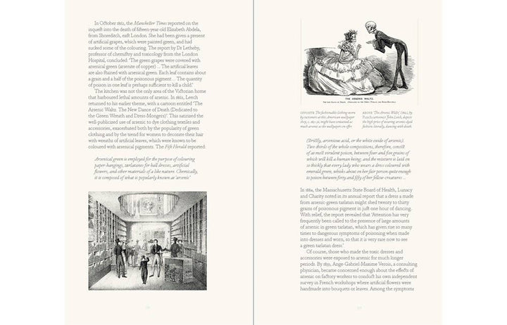 Bitten By Witch Fever: Wallpaper &amp; Arsenic in the Nineteenth