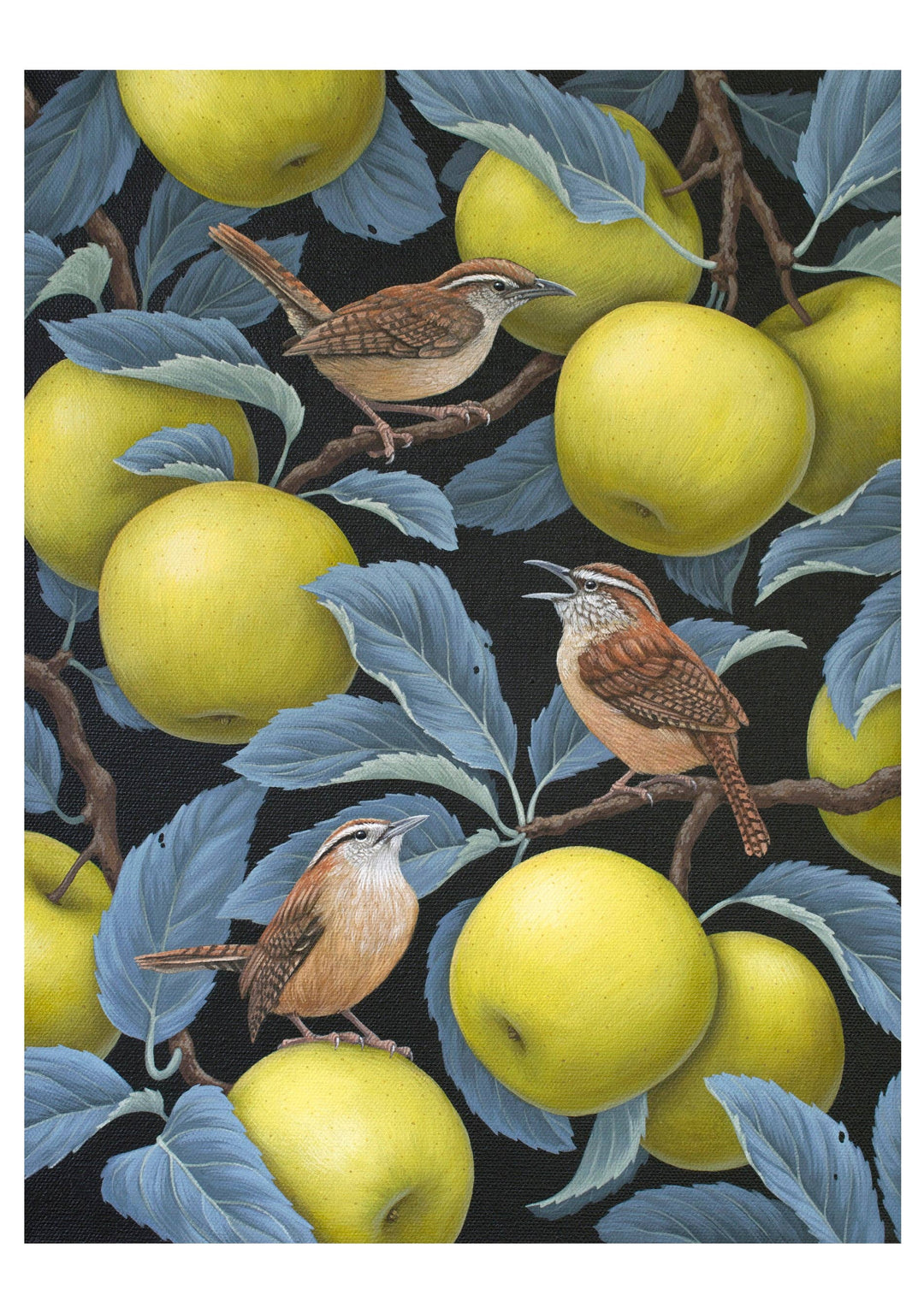 Vasilisa Romanenko: Birds of a Feather Boxed Notecard Assortment