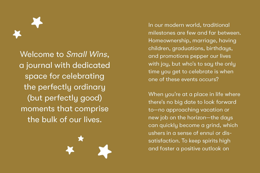 Small Wins