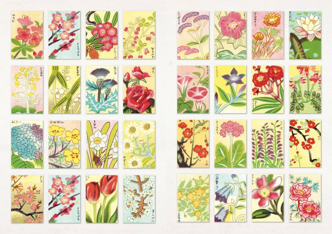 The Curious Collectibles Sticker Book
