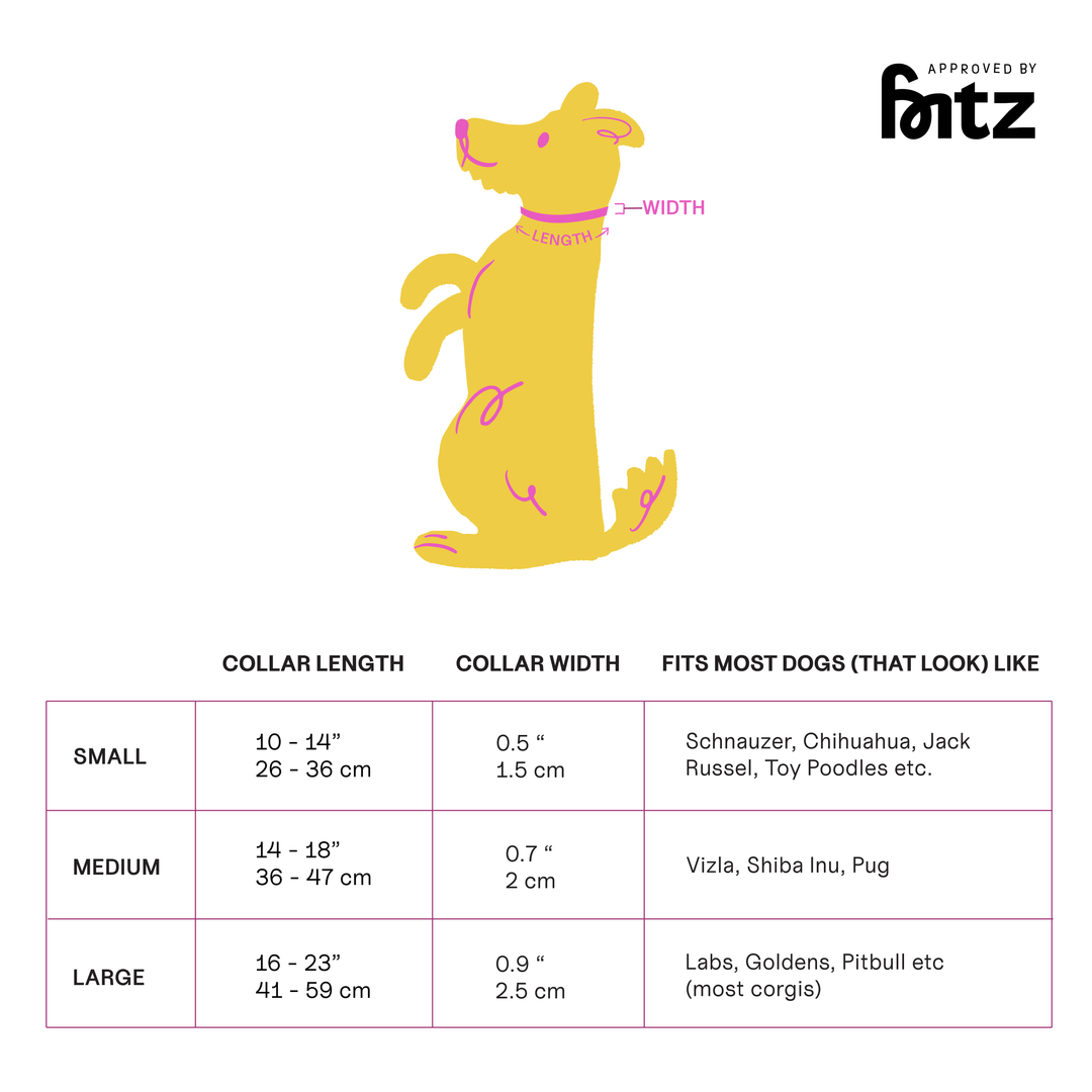 The Fritz Collar : Orange Mango