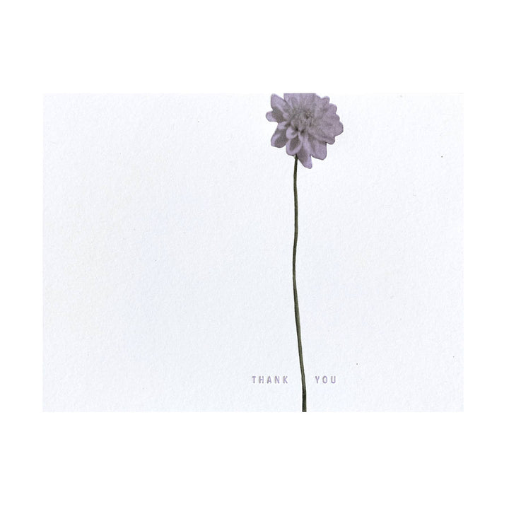 Dahlias Thank You Card
