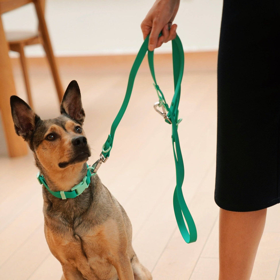 The Fritz Dog Leash | Leash wit Handle | Multi Dog Leash: Orange mango / Small