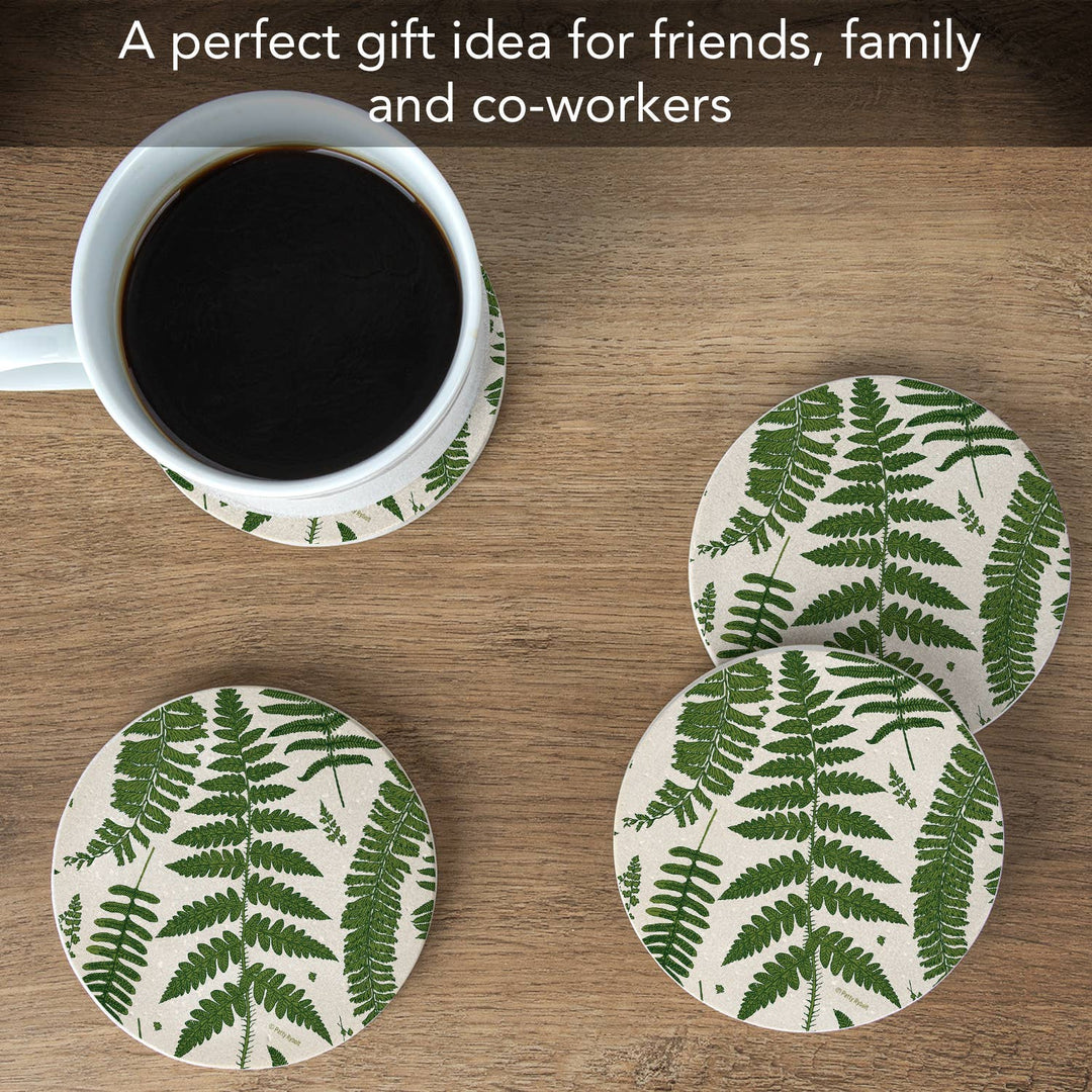 "Ferns" 4pk Round Natural Sandstone Coaster