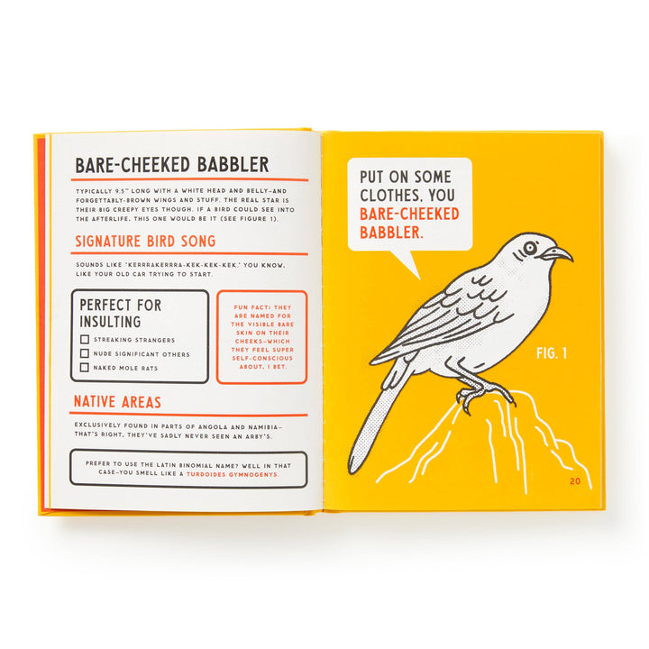 Brass Monkey Illustrated Guide to Birds